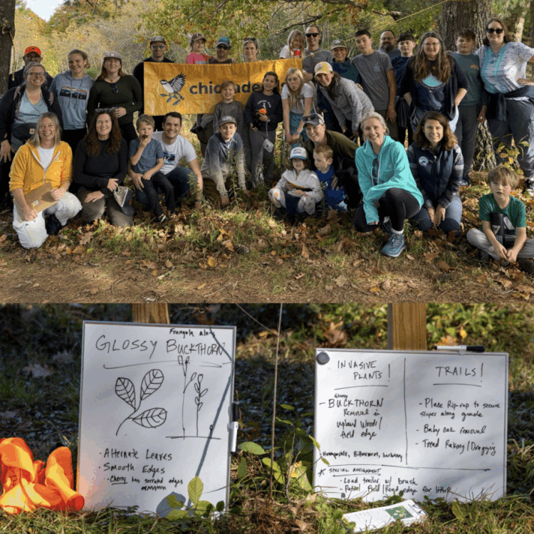 Eco-Adventure & Bonfire with Maine Coast Heritage Trust