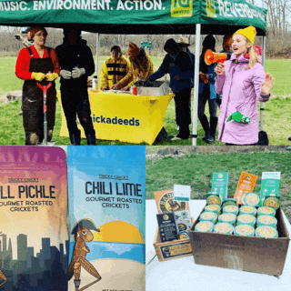 Pulling & Planting with Cape Elizabeth Land Trust