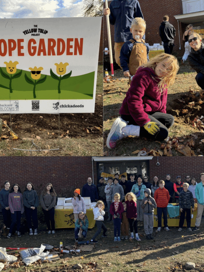 Planting Seeds of Hope with The Yellow Tulip Project